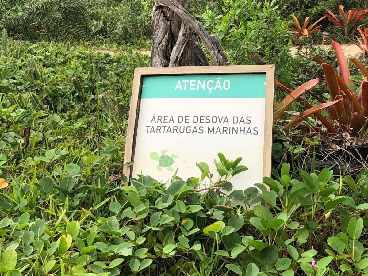 Victor Hugo Pousada Com Natura E L'Occitane Santo André Extérieur photo